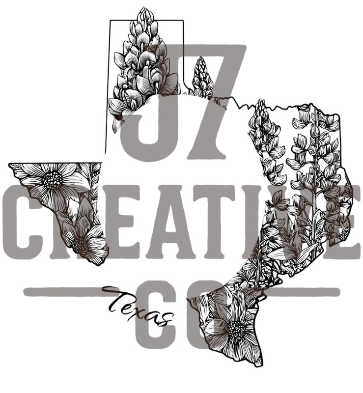 Texas 1