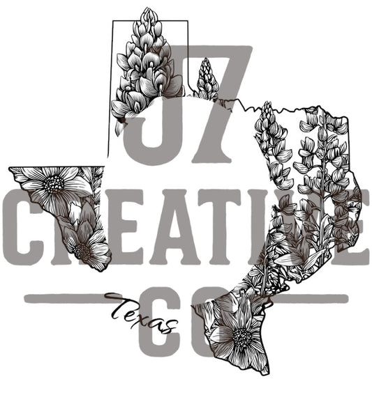 Texas 1