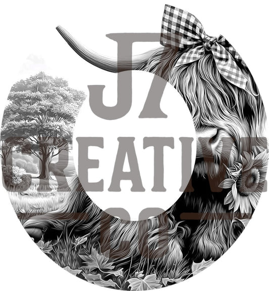 Highland Cow 3